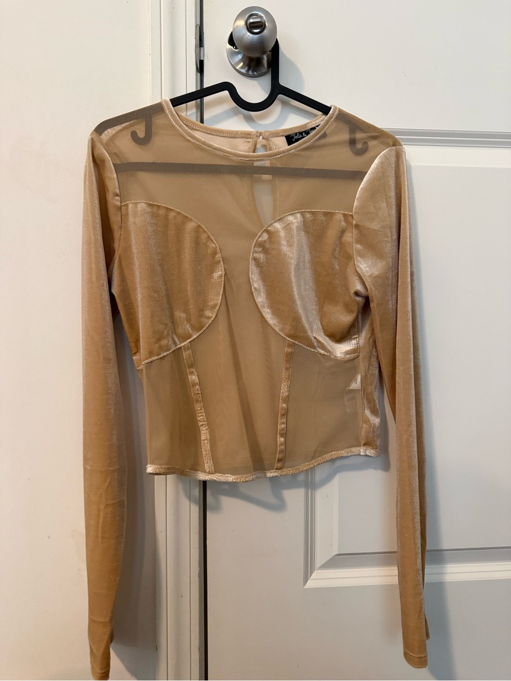 Fashion Nova Nude Sheer Velvet-Panel Long Sleeve Crop Top